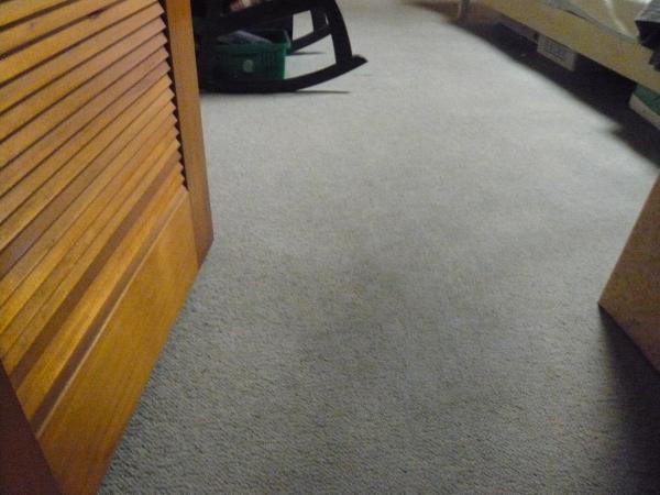寝室部分のじゅうたんです。床もたわんでいました。