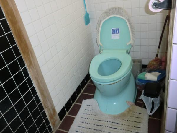 狭い汲み取り式トイレでした。