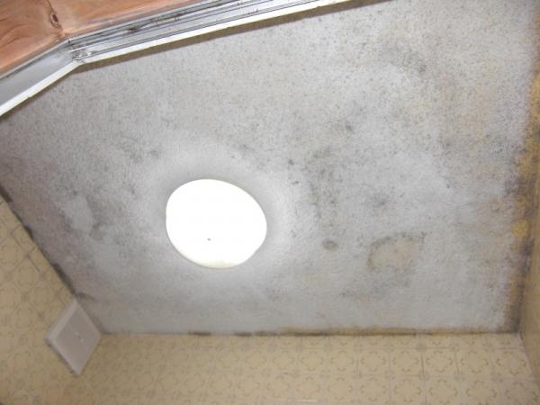 浴室の天井もカビで汚れていました。
