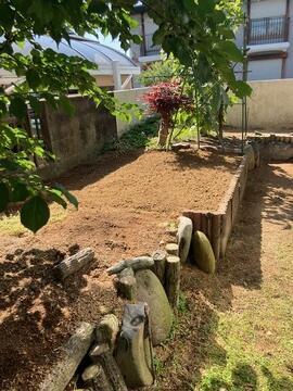 IMG_1842 (2).jpeg