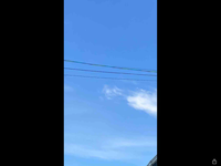 IMG_4085.png