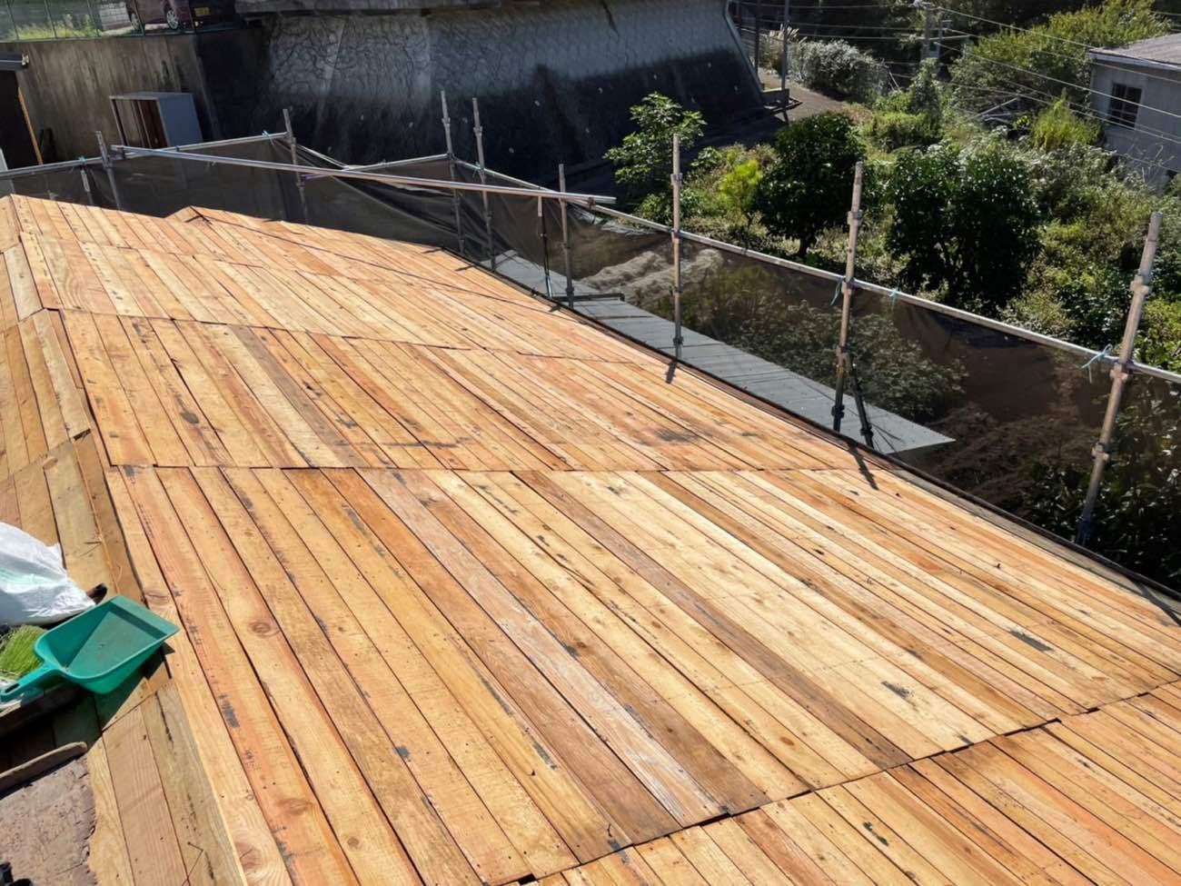 2021_10_04_18_06_00_168_2 (1).jpg