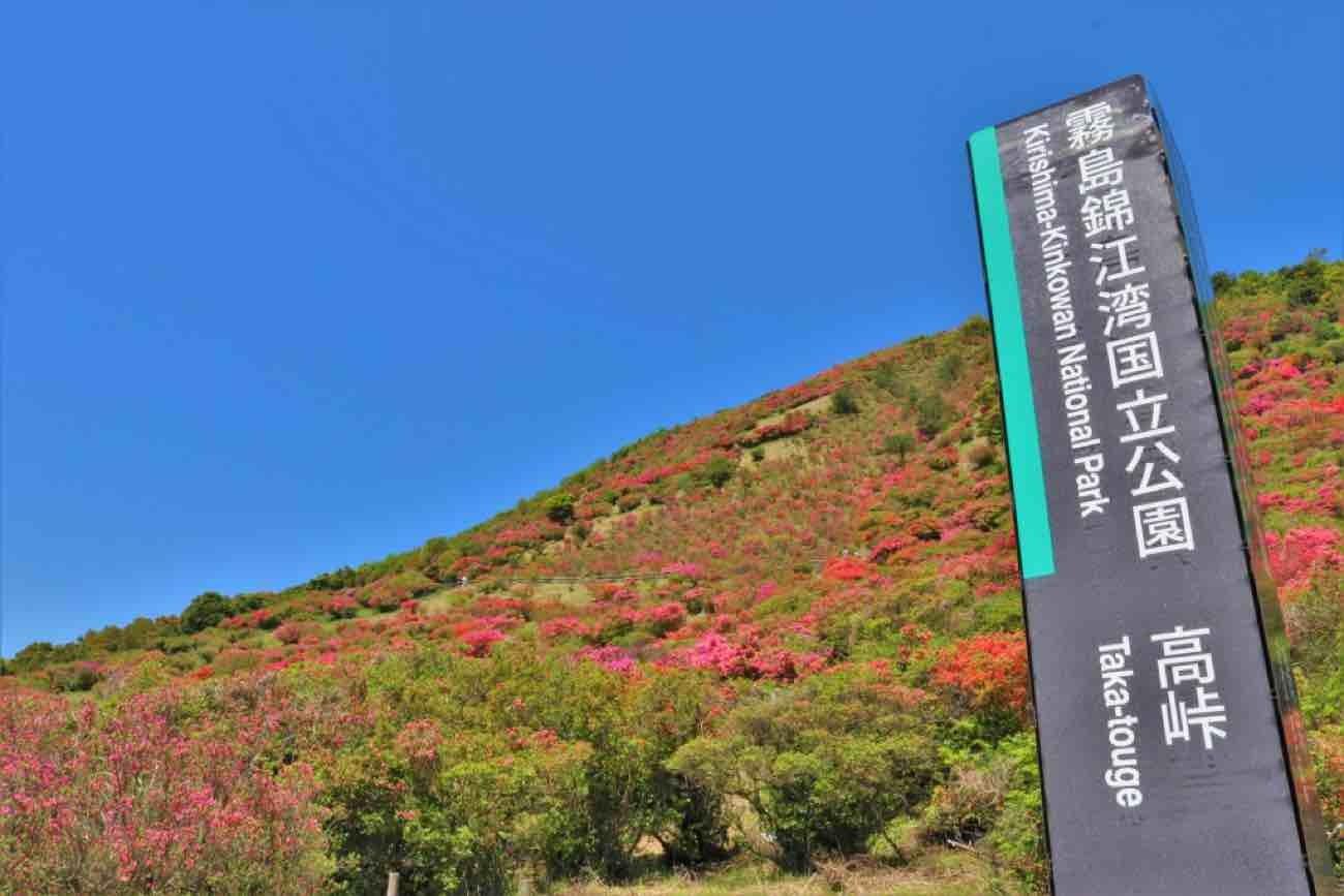 2022_04_18_09_20_41_269_0 (1).jpg