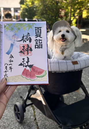 スクリーンショット 2026-03-13 101441.png