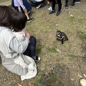 ペンギン.jpg