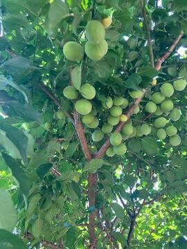 IMG_1834 (1).jpeg