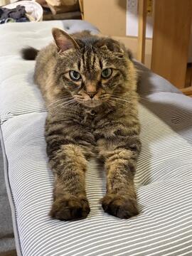 IMG_7991 (1).jpeg