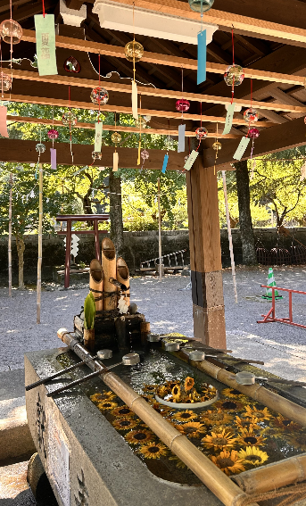 スクリーンショット 2026-03-13 101355.png