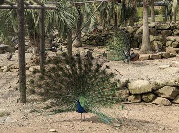IMG_7869.JPG