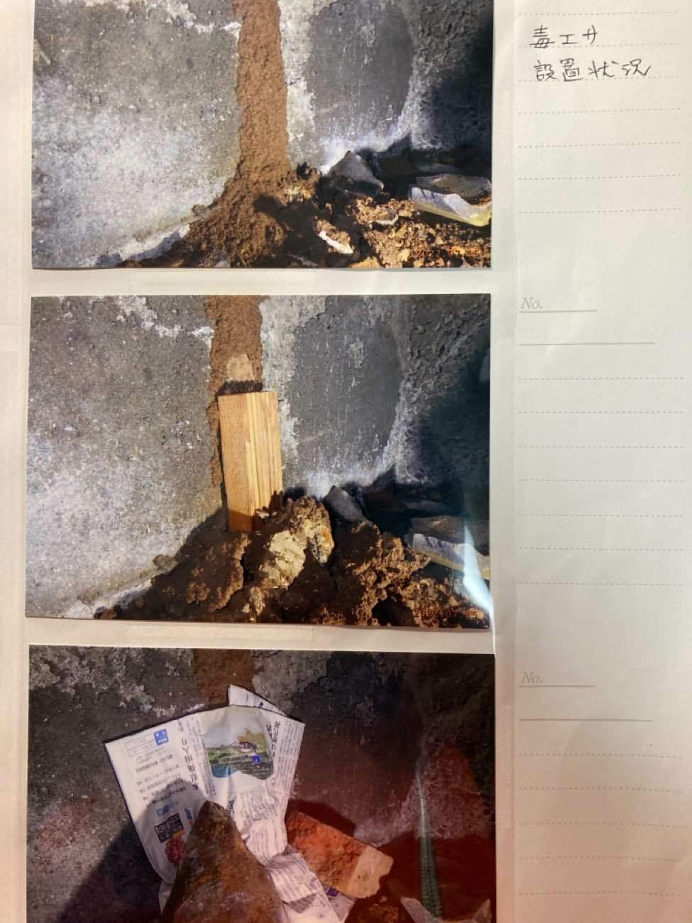 2022_11_08_05_37_10_430_0 (1).jpg