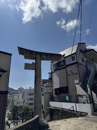 IMG_7702.jpeg