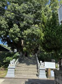 IMG_7701.jpeg