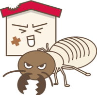 白アリ.png