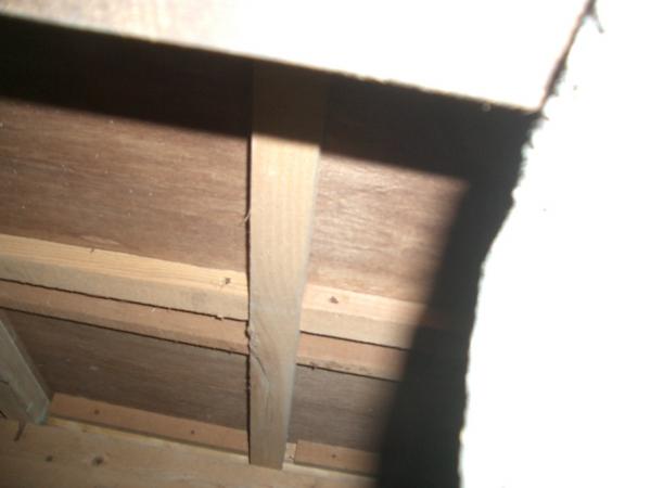 床下から補強もしました。
