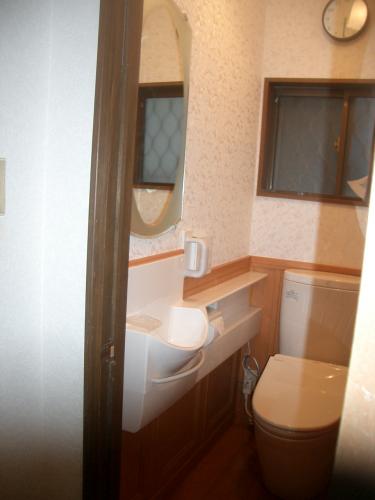 鏡・手洗いカウンター・手摺　フル装備（？）です。