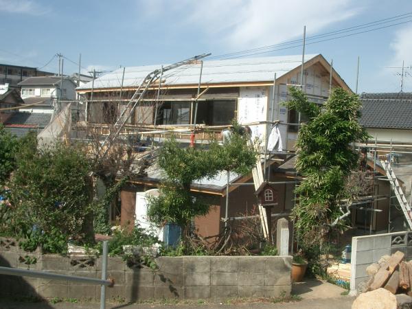 屋根にルーフィング、外壁は透湿シートがみえています。