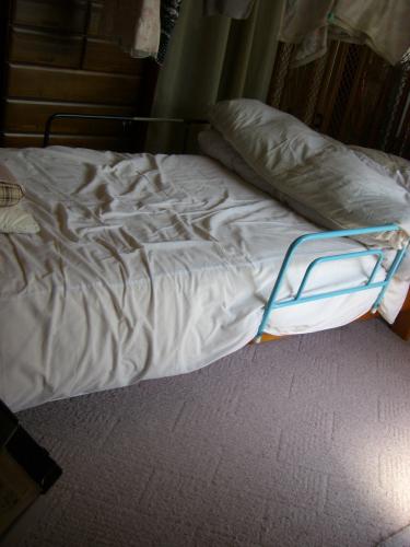 フローリングに絨毯を敷いていましたが、色あせてきていました。