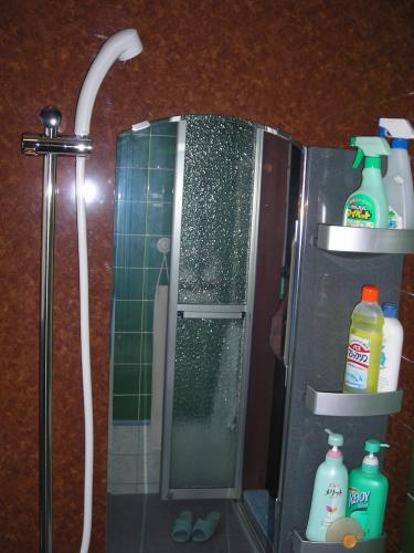 鏡も大きめにしました。壁一面には茶色のパネルを採用しました。