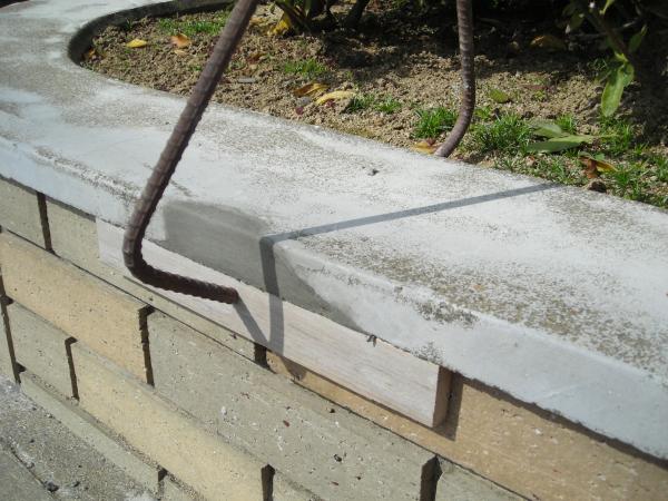 この状態で一日置きました。