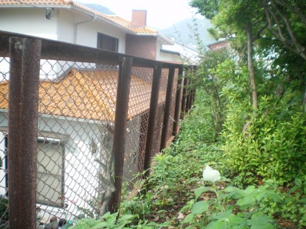 全長２４ｍ・・・