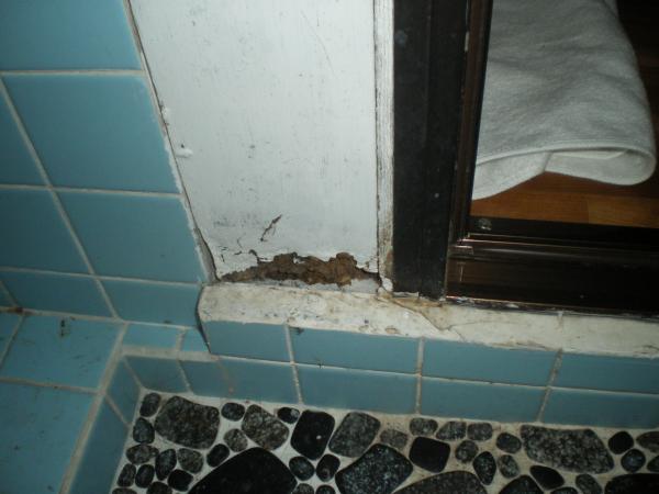 柱も腐食して穴があいてました。