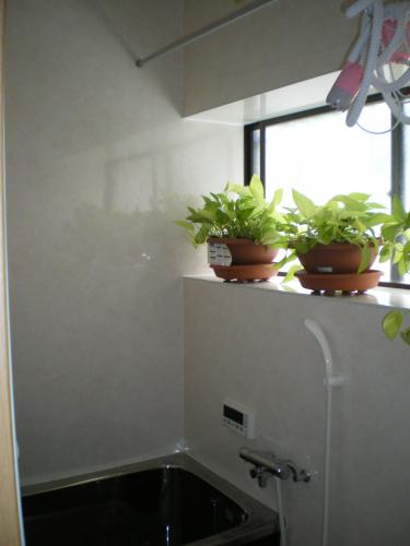 浴槽・土間タイル・壁パネル全てやりかえています。