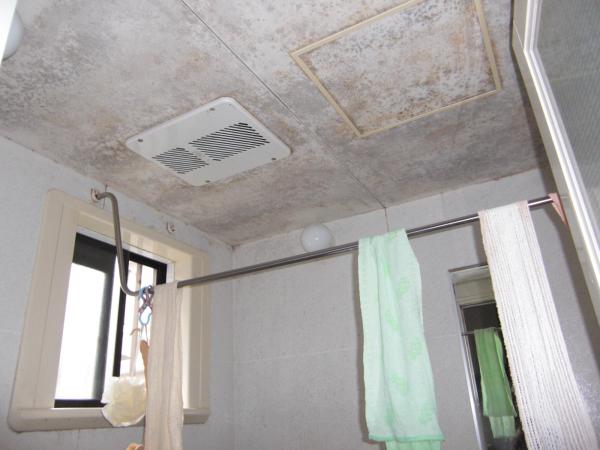 天井のカビがリフォームのきっかけでした。