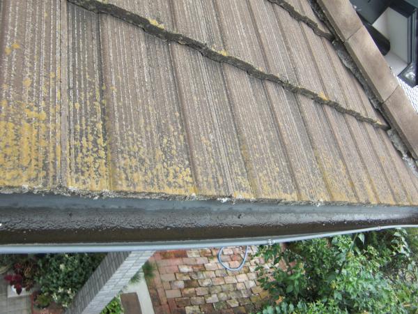 屋根もコケがうっすらと生えています。バイオ洗浄でしっかり落とします。