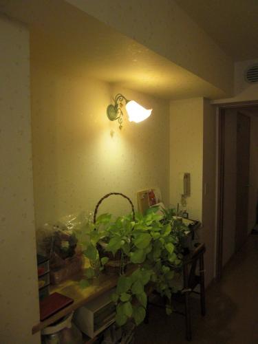 電話を置いたり、飾ったり。ちょっとリッチなスペースです。