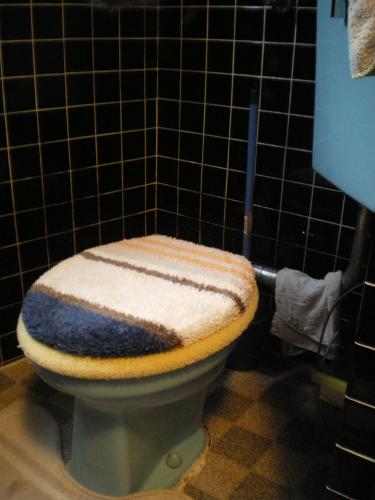 隅付けタイプのトイレ。黒のタイルがあまり好きでなかったそうです。