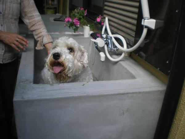 左官職人の手作り洗い場が完成！ワンちゃんも喜んでいます。シャワー水栓を付け散歩後のシャンプーも楽にできます。ワンちゃんも気持ち良さそう♪