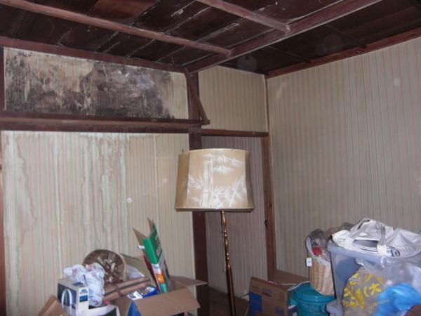 反対側からの写真です。