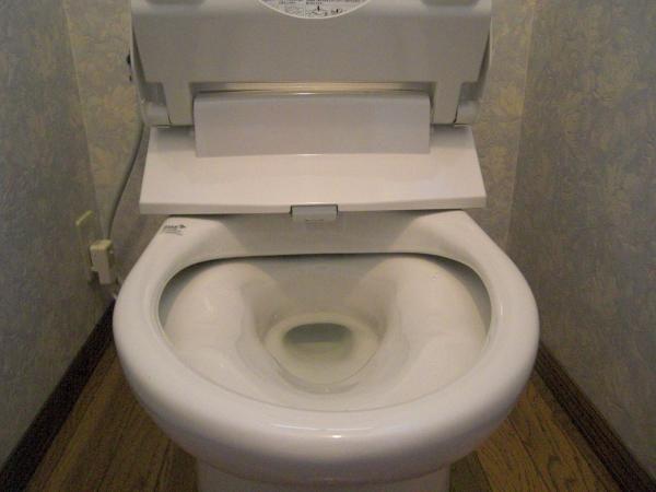 タンクと便座は一体型なので外れないのですが、便器との隙間を掃除するときは・・