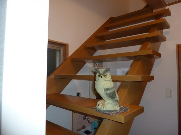 完成を心待ちにしていたのはフクロウくんでした（笑）