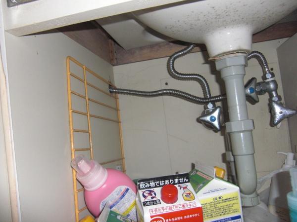 何やら分岐の管が出てます。