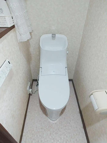 A_01_Hysd_kushima.jpg