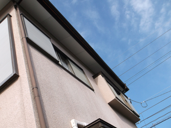 B_04_Nd_hirayamadai.JPG