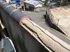 S_01_YsD_yanagidani.jpg