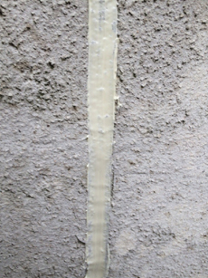 S_2-4_S_tarami.jpg