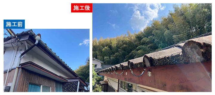 03_toi_Knu_sintomati.jpg