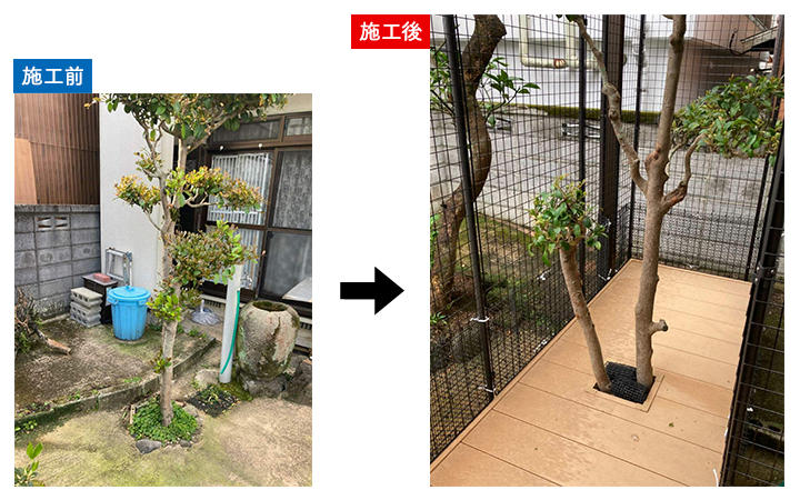 01_neko_Nsmr_nagasaki.jpg
