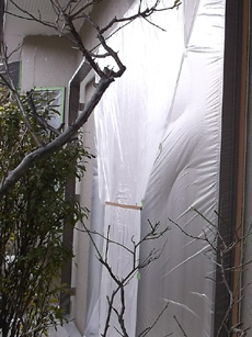 20150115k12.jpg