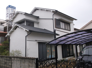 A_02_Nko_jyouei.JPG
