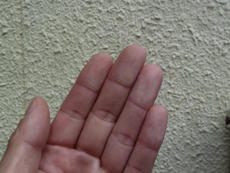 before2.jpg