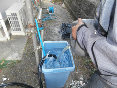 S_02_M_hirayamadai.JPG