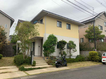 A_01_Smd_takasirodai.jpg