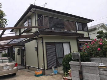 A_01_Frsw_hirayamadai.jpg