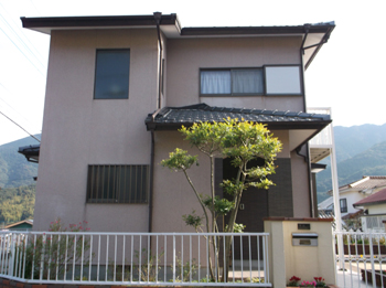 B_03_Nd_hirayamadai.JPG