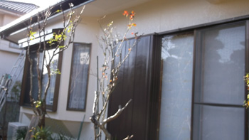 20150115k_af3.jpg