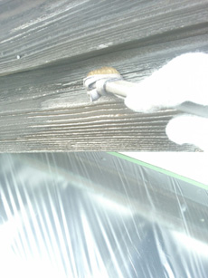 20150116k16.jpg